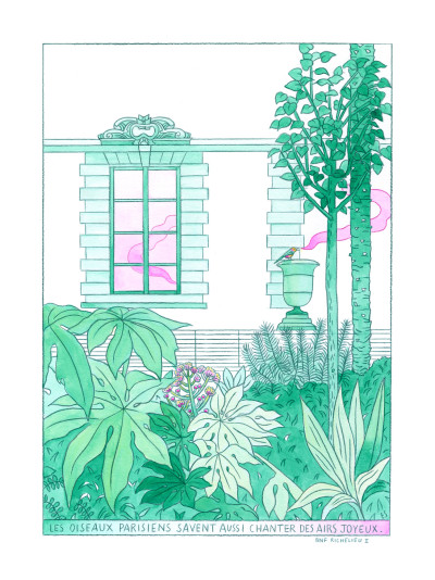 Les oiseaux parisiens (exclusive artwork)