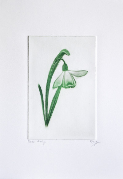 Perce neige (papier Fabriano)