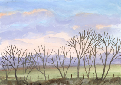Winter sunrise (exclusive artwork)