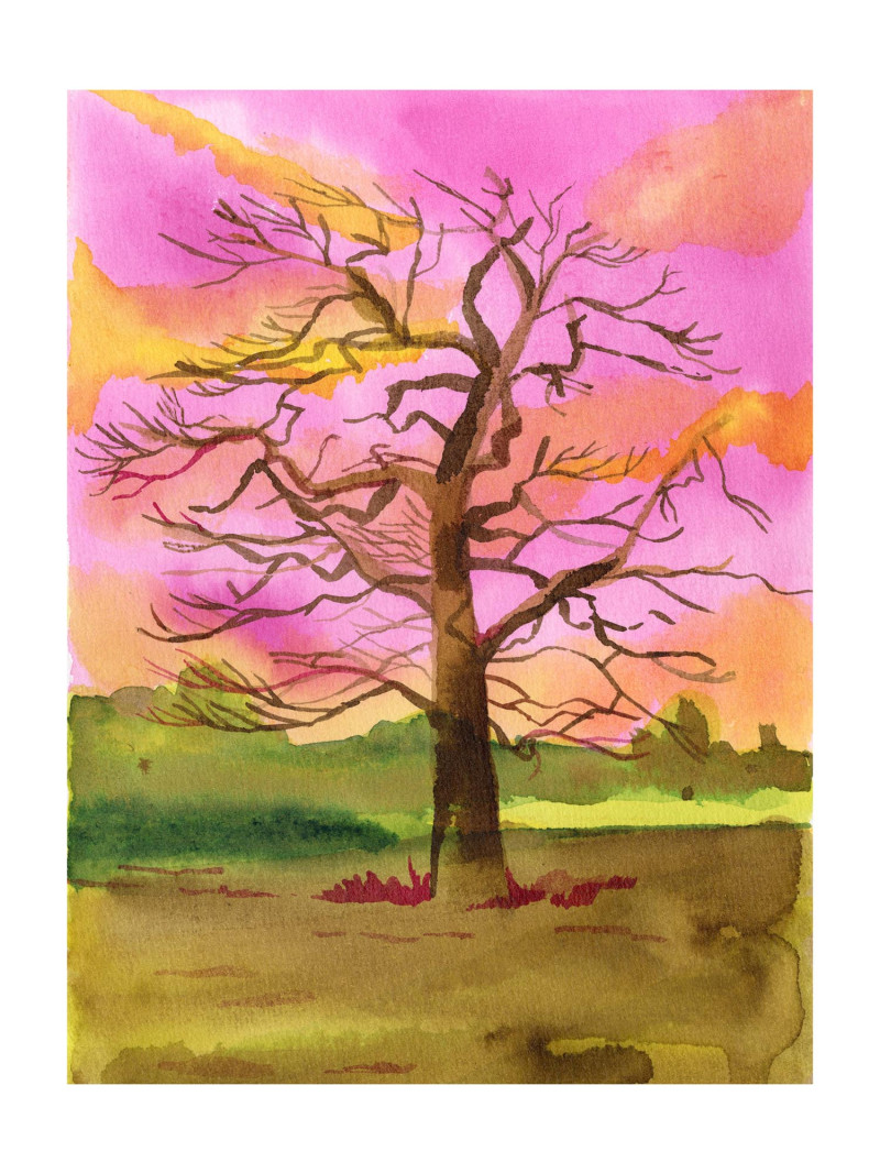 Arbre nu