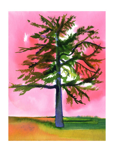 Mon beau sapin