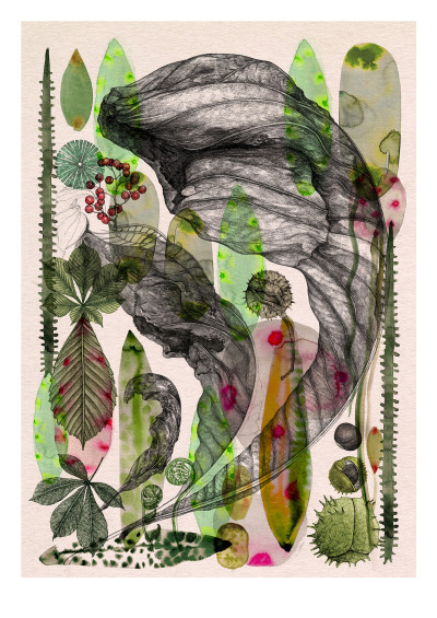 Face House 8 - LUCILLE CLERC