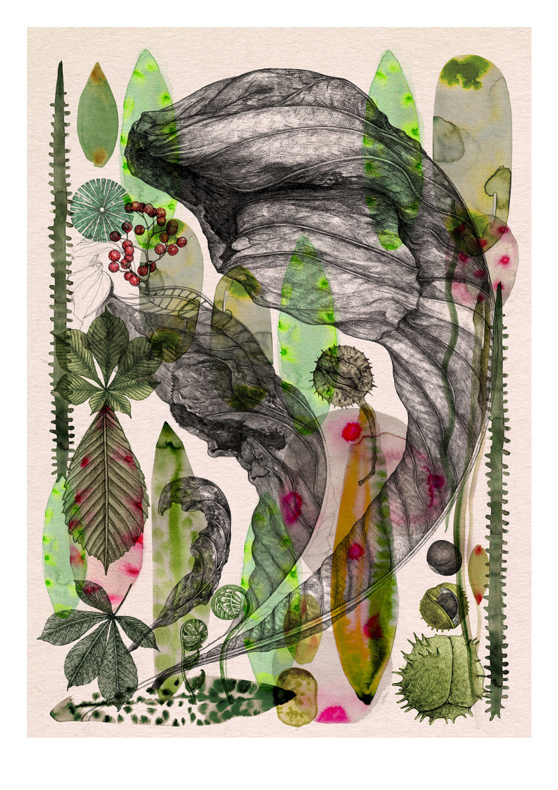 Face House 8 - LUCILLE CLERC