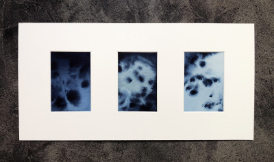 La crique, triptyque (œuvre unique)