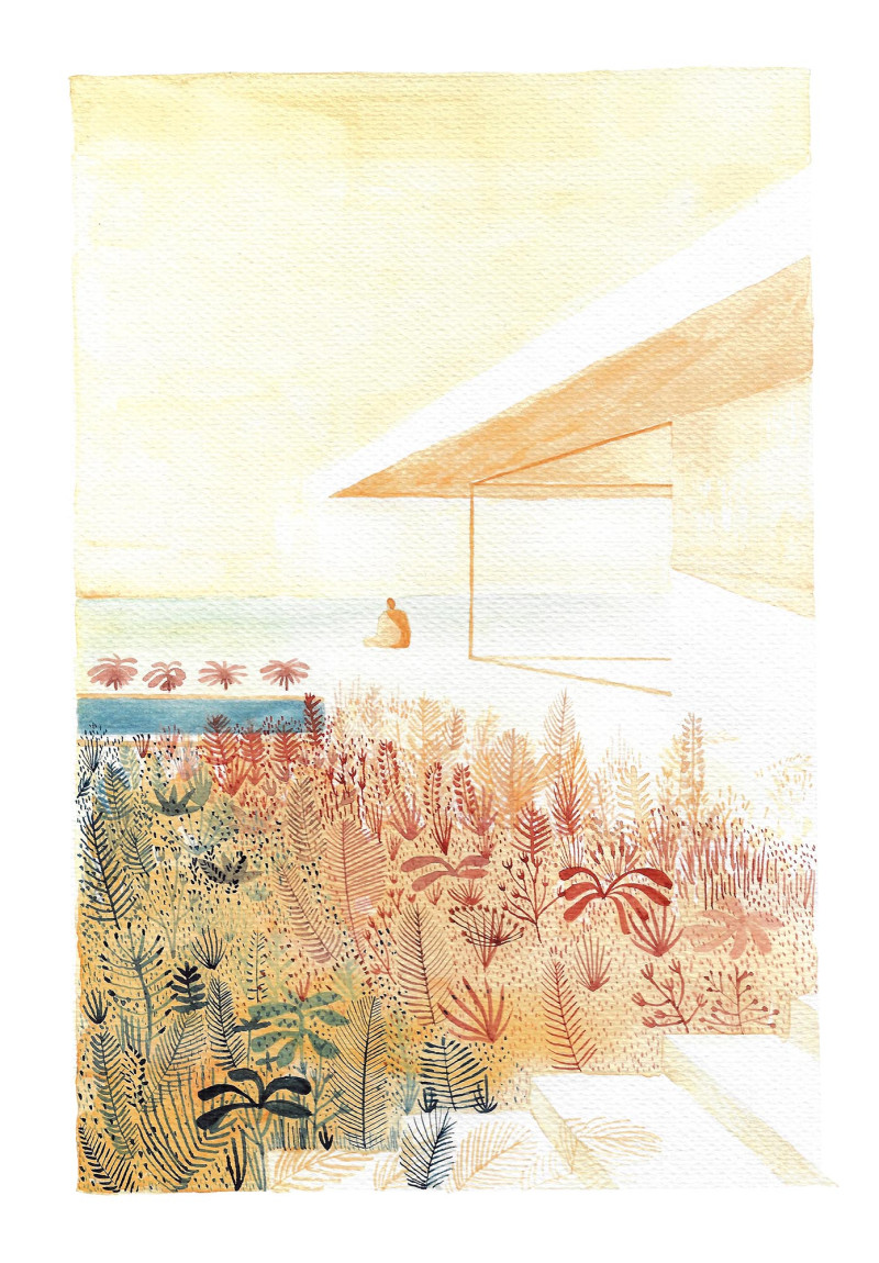 Casa y verano