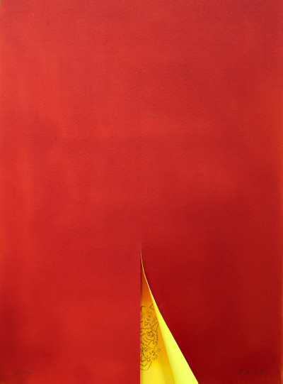 CAMPANA STUDIO