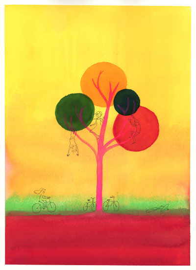 CAMPANA STUDIO