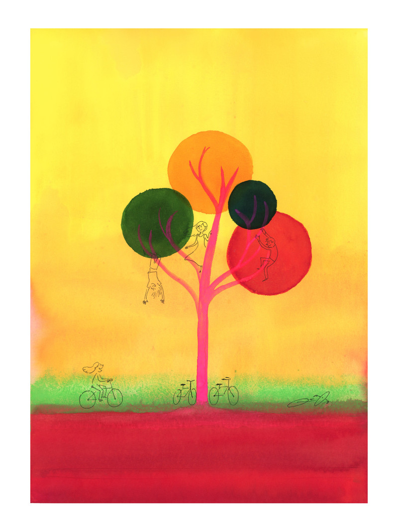 CAMPANA STUDIO