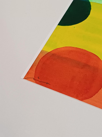 CAMPANA STUDIO