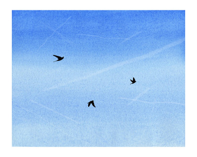 CHARLINE COLLETTE