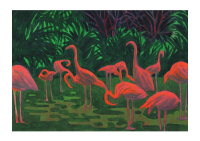 Flamants roses