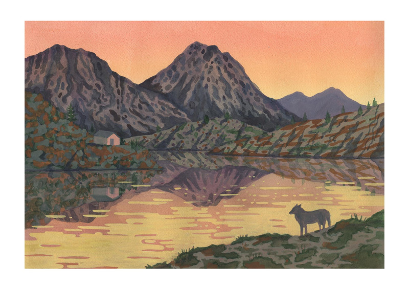 Le loup et le lac