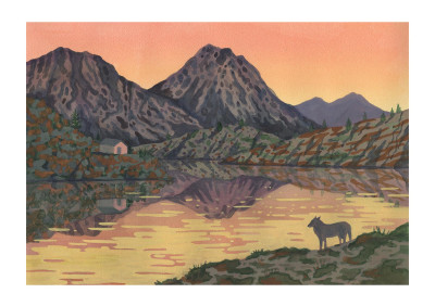 Le loup et le lac