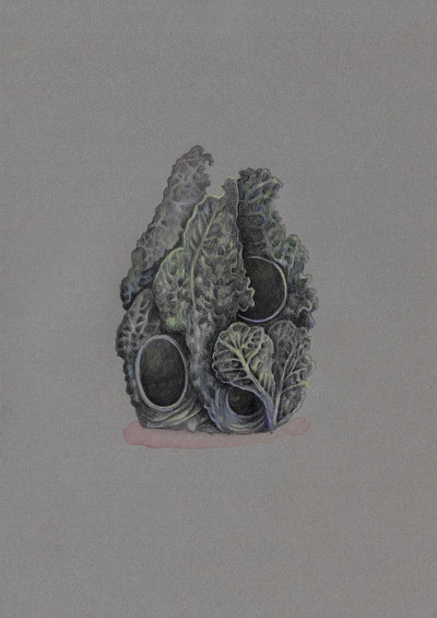 Lucille Clerc