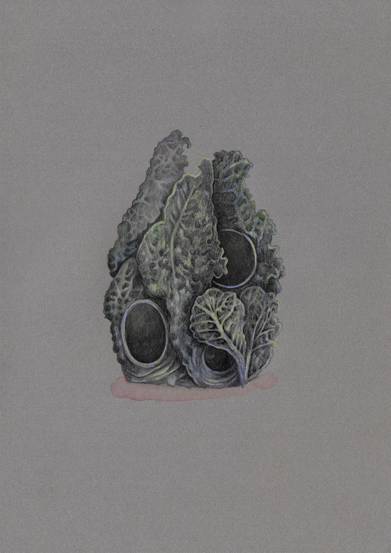 Lucille Clerc