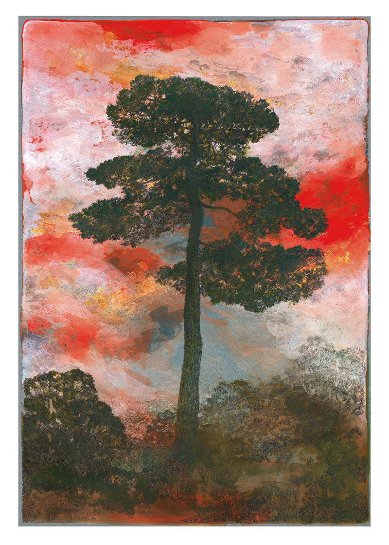 Lucille Clerc