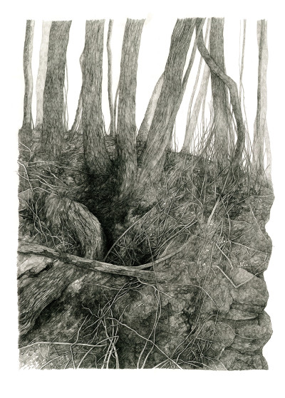 Lucille Clerc