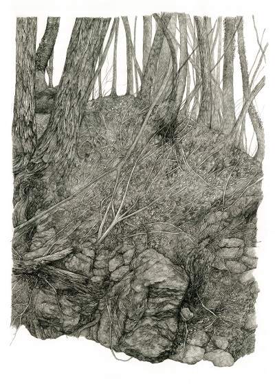 Lucille Clerc