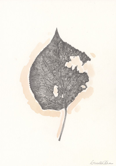 Lucille Clerc