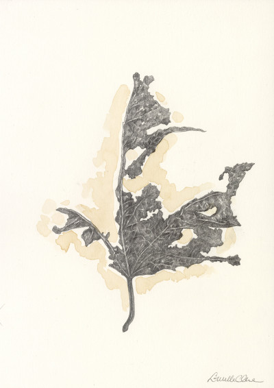 Lucille Clerc
