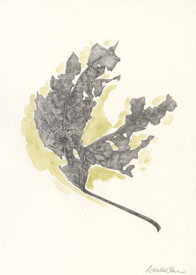 Lucille Clerc