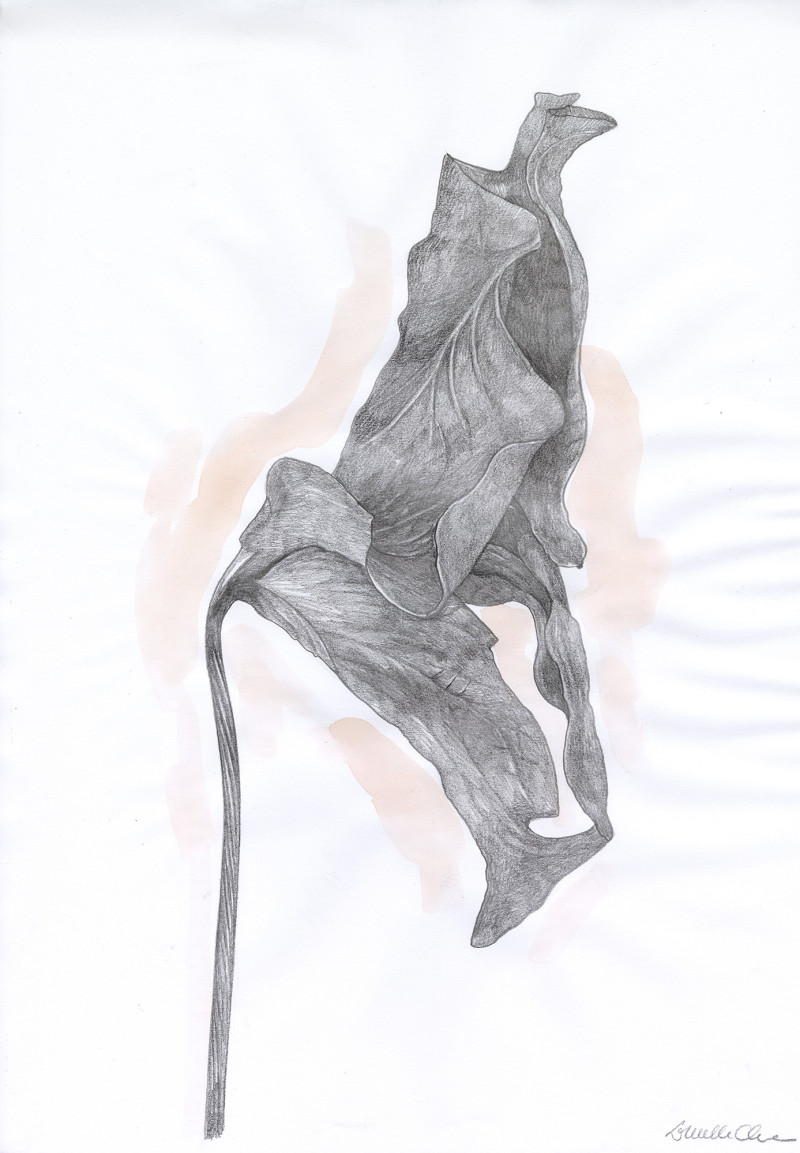 Lucille Clerc