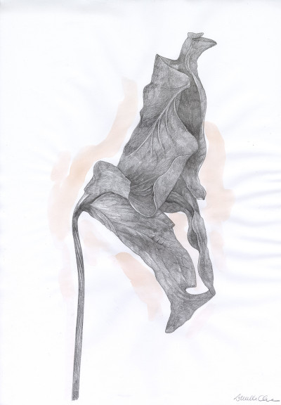 Lucille Clerc
