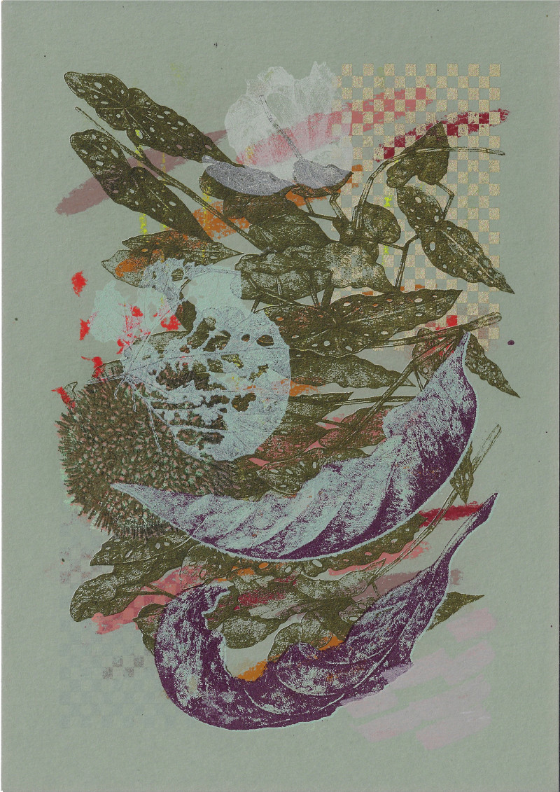 Lucille Clerc