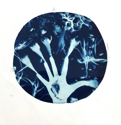 Lucille Clerc