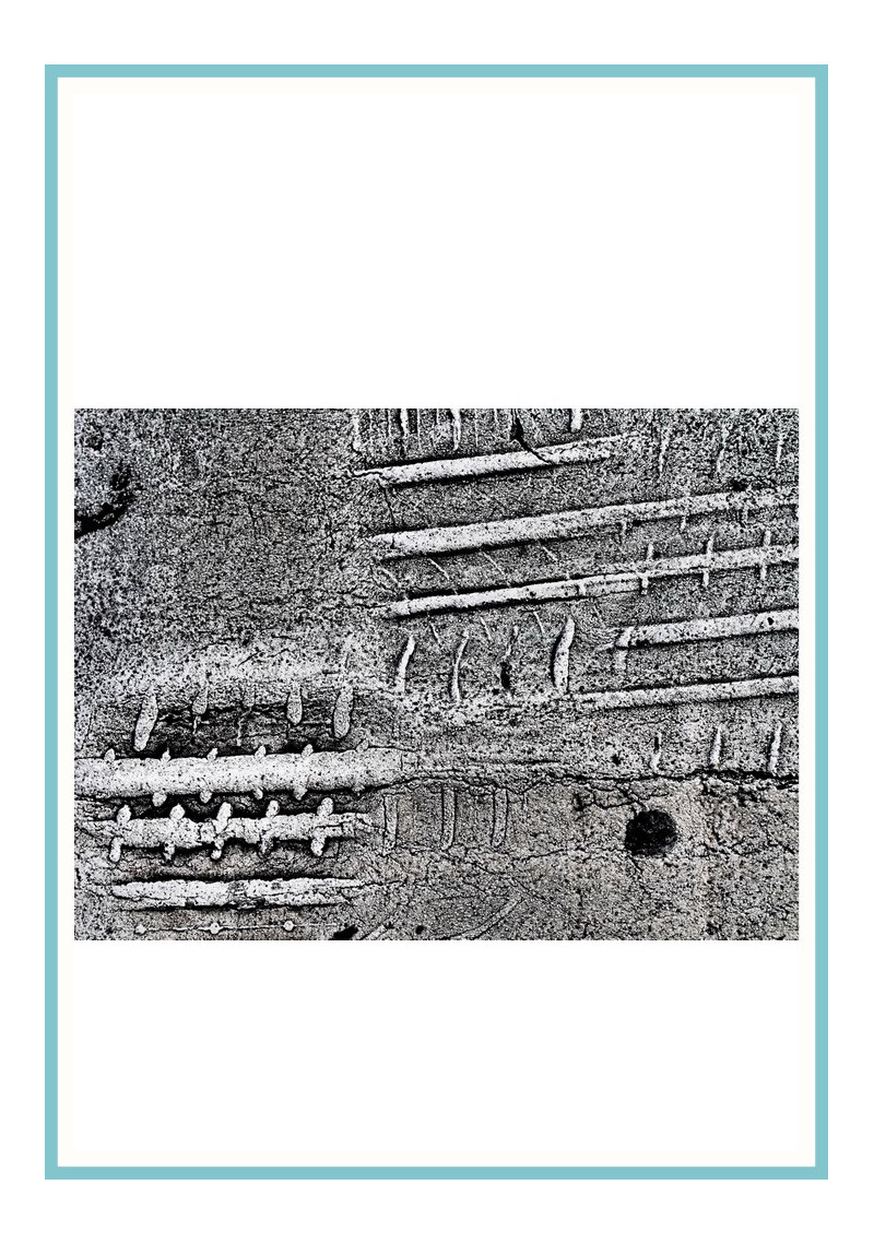 Fragment 3 Fragment 3