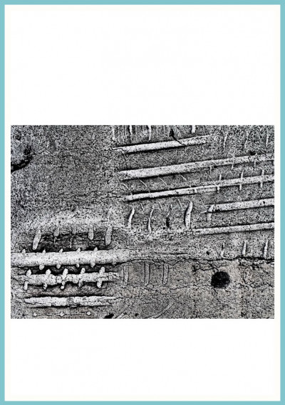 Fragment 3
