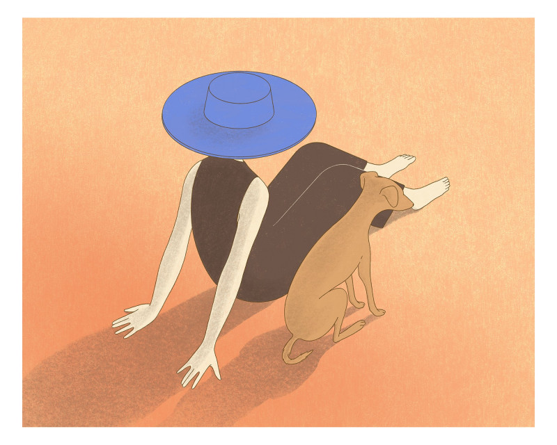 Dame au chapeau 2 Dame au chapeau 2
