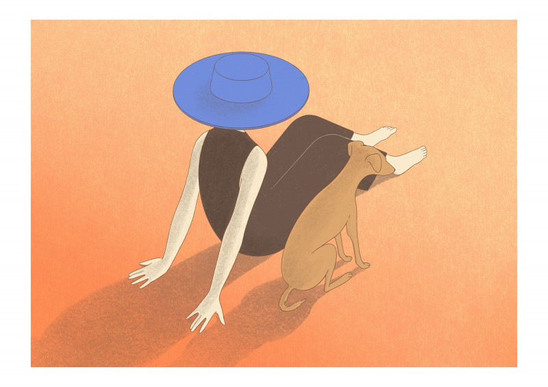 Dame au chapeau Dame au chapeau