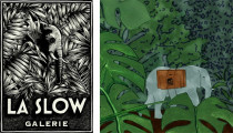 SLOW GALERIE